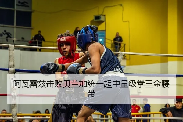 a-wa-lei-zi-ji-bai-bei-lan-jia-tong-yi-chao-zhong-liang-ji-quan-wang-jin-yao-dai-3-543.jpg