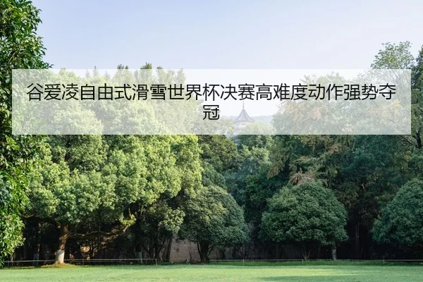 gu-ai-ling-zi-you-shi-hua-xue-shi-jie-bei-jue-sai-gao-nan-du-dong-zuo-qiang-shi-duo-guan-2-563.jpg