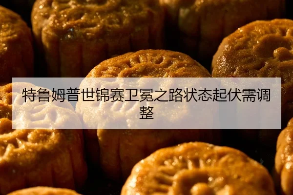 te-lu-mu-pu-shi-jin-sai-wei-mian-zhi-lu-zhuang-tai-qi-fu-xu-tiao-zheng-2-968.jpg