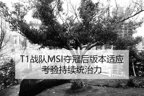 T1战队MSI夺冠后版本适应考验持续统治力