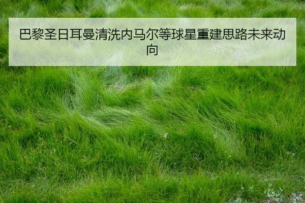 ba-li-sheng-ri-er-man-qing-xi-nei-ma-er-deng-qiu-xing-chong-jian-si-lu-wei-lai-dong-xiang-3-429.jpg