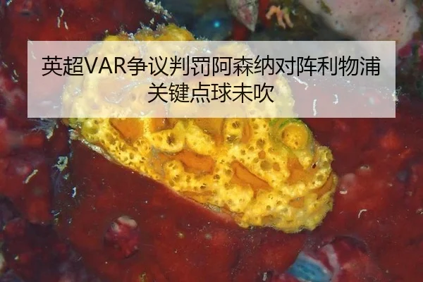 英超VAR争议判罚阿森纳对阵利物浦关键点球未吹