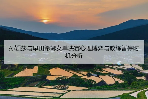孙颖莎与早田希娜女单决赛心理博弈与教练暂停时机分析