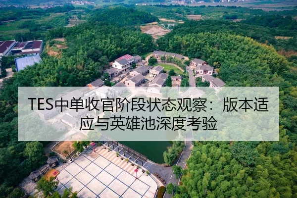 TES中单收官阶段状态观察：版本适应与英雄池深度考验